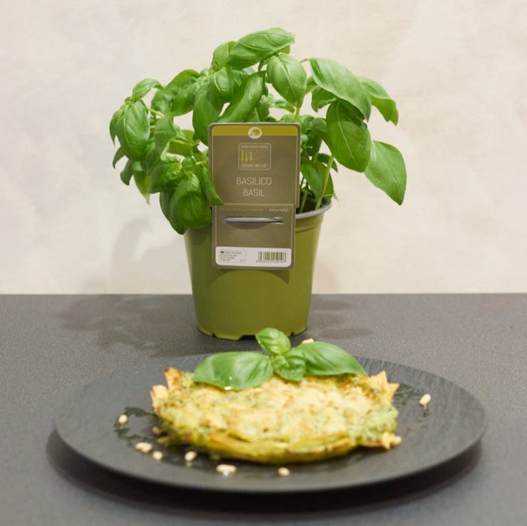 Leichte Lasagne mit Ricotta-Creme und Sunny heRBs Basilikum - Sunny Herbs Leichte Lasagne mit Ricotta-Creme und Sunny heRBs Basilikum - Sunny Herbs